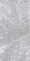 Space Stone серый. Универсальная плитка (60x120)