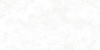 Pav RIGA WHITE. Универсальная плитка (30x60)