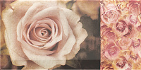 Декор Décor Flower глянц, 10x20