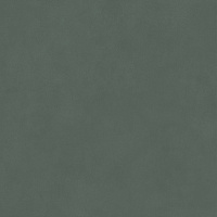 Керамогранит Про Чементо зелёный матовый обрезной мат, 60x60 9 мм, арт. DD642120R