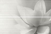 Панно Борсари обрезной, 50x75 9 мм, арт. HGD/A200/2x/12102R