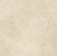 Керамогранит Boost Expression Camel мат 60x60 9 мм арт. AYVP