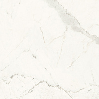 100962 Bianco Versilia pav lev a specchio. Универсальная плитка (78,5x78,5)