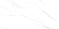 Керамогранит Calacatta Genius белый полир 60x120 8,4 мм