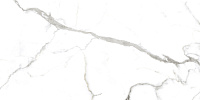 Eris Gray Карвинг. Универсальная плитка (60x120)