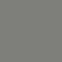 Моноколор серый. Напольная плитка (60x60)