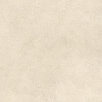 Керамогранит Boost Expression Shell мат 60x60 9 мм арт. AYVO