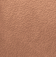 Nisus Coral Rect. Универсальная плитка (60x60)