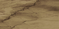 Venus Visone Lapp Rett. Универсальная плитка (60x120)