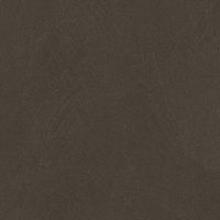 Керамогранит Sandstone Brown PRO коричневый R10GR STR мат 80x80 8 мм