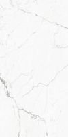 Керамогранит Elegant Statuario GT Бел полир полир 60x120 9 мм арт. GT120604803PR