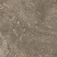 Керамогранит ЧЕРВИНИЯ ЗЕМЛЯ мат, 45x45 8 мм, арт. 610010001441