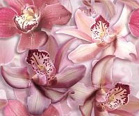 Панно Porto Flowers "Orchide lila" глянц, 50x60