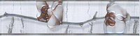 Каррара Бордюр серый сакура (20x5,7)