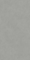 Керамогранит Про Чементо серый обрезной мат 119,5x238,5 9 мм арт. DD590920R