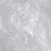 Space Stone серый. Универсальная плитка (60x60)
