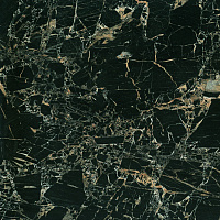 Керамогранит Bien Tiger Black Rec Full Lap полир, 60x60 8,5 мм, арт. BIEN0008