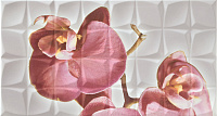 Декор Dec. Orchid C Blanco BLN мат, 31,6x59,34 9 мм