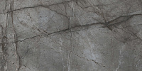 Керамогранит Bien Root Silver Rec Full Lap полир, 60x120 9 мм, арт. BIEN0022