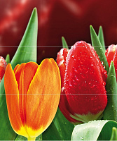 Панно Syntia Tulip А (из 3пл) глянц, 60x50