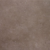 Керамогранит Дайсен Коричневый мат, 60x60 11 мм, арт. (SG610500R)