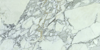 Calacatta Silver Pol Rect. Универсальная плитка (60x120)