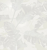 Zar Blanco, 31,6x90