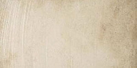 Декор Gold Art decor мат, 30,2x60,8