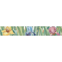 Бордюр FIORI Ирис 267017, 6x40