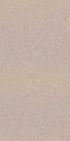 SP120010N Натива беж светлый. Напольная плитка (9,8x19,8)