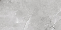 1142G Armani Silver полир. Универсальная плитка (60x120)