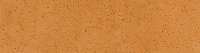 AQUARIUS Beige ELEW. Фасадная плитка (6,5x24,5)