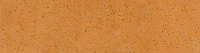 AQUARIUS Beige ELEW, 6,5x24,5