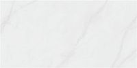 Керамогранит CEDAR WHITE PULIDO RECT полир 120x280 6 мм арт. 3ACPCEDACPPA