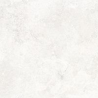 Керамогранит Antico Pearl светло-серый карвинг мат 59,5x59,5 9 мм арт. LP6060G0081R