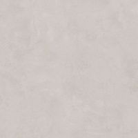 Керамогранит Город на воде серый обрезной, 50,2x50,2 9,5 мм, арт. SG453800R