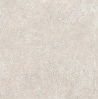 SG455620N Геркуланум серый светлый. Универсальная плитка (50,2x50,2)
