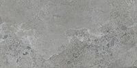 Керамогранит PIETRA VIVA GREY мат 60x120 9 мм арт. 188999