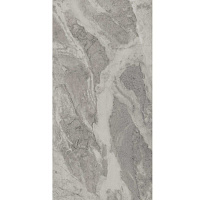 Керамогранит Альбино серый обрезной мат, 60x119,5 9 мм, арт. DL503120R