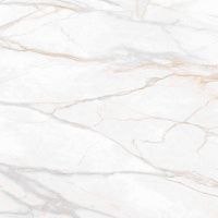 Керамогранит Gold SM02 мат 80x80 11 мм арт. 40314