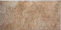 Плитка Doric Imperal глянц, 10x20