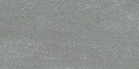 Керамогранит Про Нордик серый натуральный обрезной мат, 30x60 11 мм, арт. DD204200R