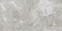 Brecia Grey серый глянцевый. Универсальная плитка (60x120)