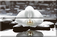 Панно Composicion Wellness White 01 глянц, 30x45