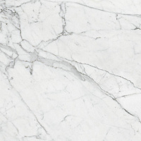 Marble Trend K-1000/MR Carrara мат. Универсальная плитка (60x120)