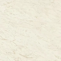Керамогранит Marvel Cremo Delicato Matt мат 120x120 9 мм арт. A206 Керамогранит Marvel Cremo Delicato Matt мат 120x120 9 мм арт. A206