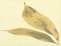 Декор Bambus Beige inserto мат, 25x33,3