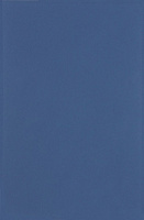 Плитка Minimal Azul DS70, 25x38