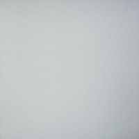 Керамогранит Профи св-серый матовый мат 60x60 10 мм арт. GT009M