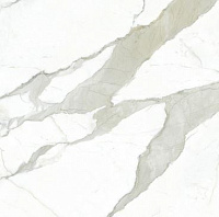 Керамогранит (120х120) Calacatta Bianco полир, 120x120 6 мм, арт. MN011AP271206